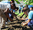 GFDD’s Eco-Huertos Program Brings Year to-a-close with Creation of 8 New School and Community Gardens