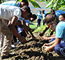 GFDDs Eco-Huertos Program Brings Year to-a-close with Creation of 8 New School and Community Gardens